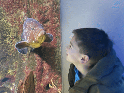 Max with a fish at the Aquarium of the Antwerp Zoo