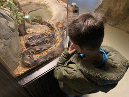 Max with a Madagascar Boa at the Reptile House at the Antwerp Zoo