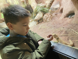 Max with a Bearded Dragon at the Reptile House at the Antwerp Zoo