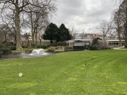 Grassland and pond with fountain at the Antwerp Zoo