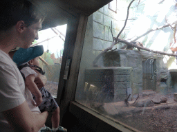 Tim and Max with a Collared Anteater at the Monkey Building at the Antwerp Zoo