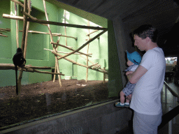 Tim and Max with a Black-headed Spider Monkey at the Monkey Building at the Antwerp Zoo