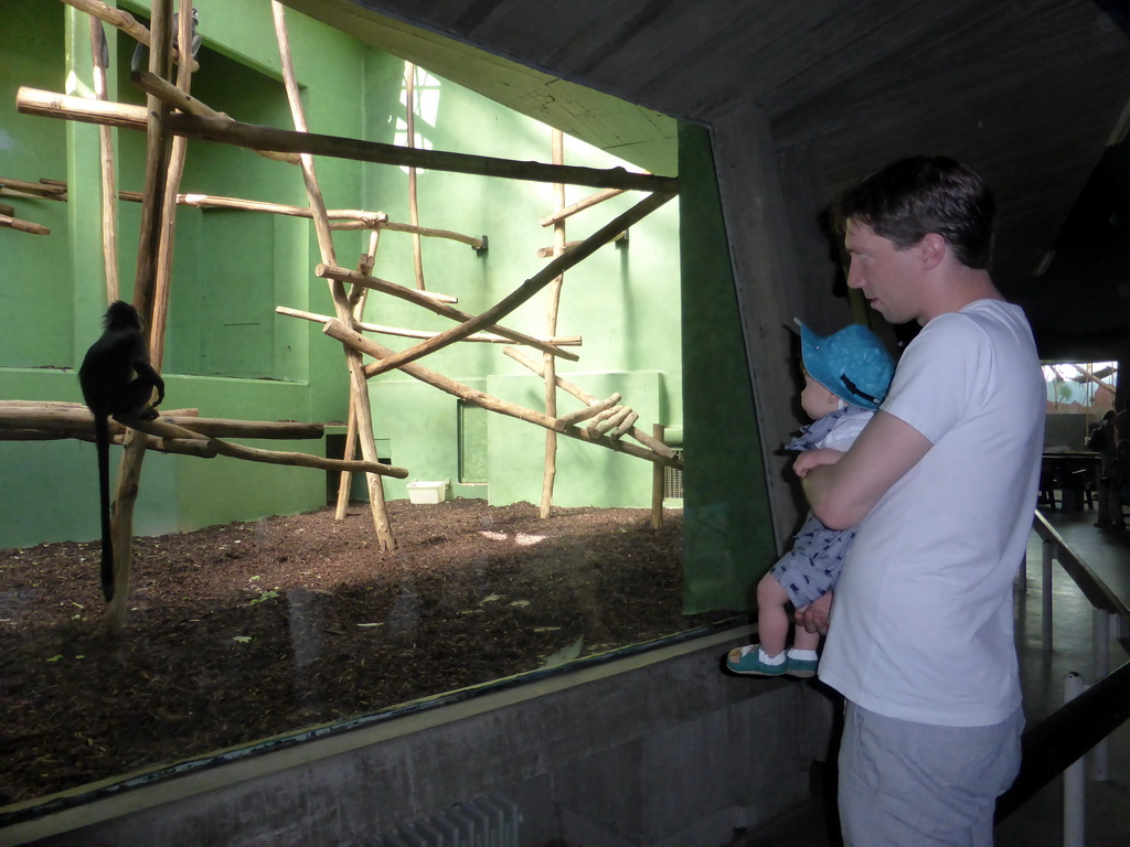 Tim and Max with a Black-headed Spider Monkey at the Monkey Building at the Antwerp Zoo