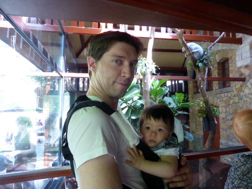 Tim and Max with a Koala at the Antwerp Zoo