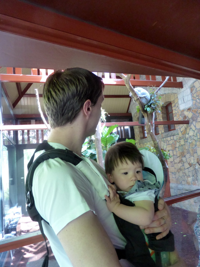 Tim and Max with a Koala at the Antwerp Zoo