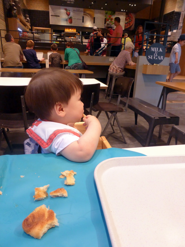 Max having lunch in the Restaurant Latteria at the Antwerp Zoo