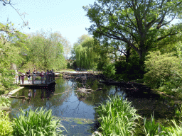 Lake with birds at the Antwerp Zoo