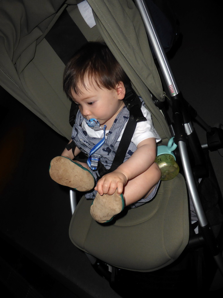 Max at the Vriesland building at the Antwerp Zoo