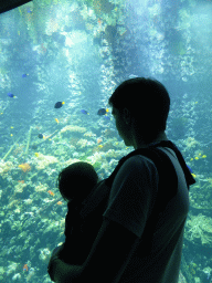 Tim and Max with fish and coral at the Aquarium of the Antwerp Zoo