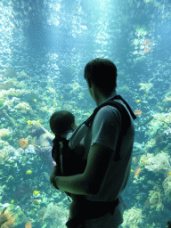 Tim and Max with fish and coral at the Aquarium of the Antwerp Zoo