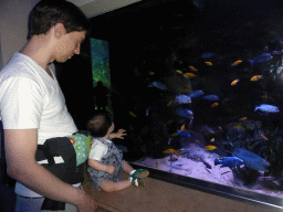 Tim and Max with fish at the Aquarium of the Antwerp Zoo