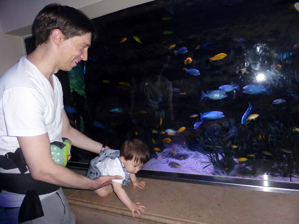 Tim and Max with fish at the Aquarium of the Antwerp Zoo