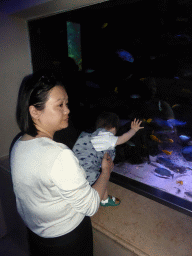 Miaomiao and Max with fish at the Aquarium of the Antwerp Zoo