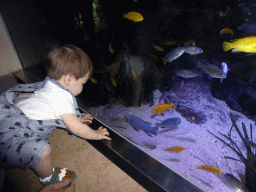 Max with fish at the Aquarium of the Antwerp Zoo