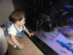 Max with fish at the Aquarium of the Antwerp Zoo