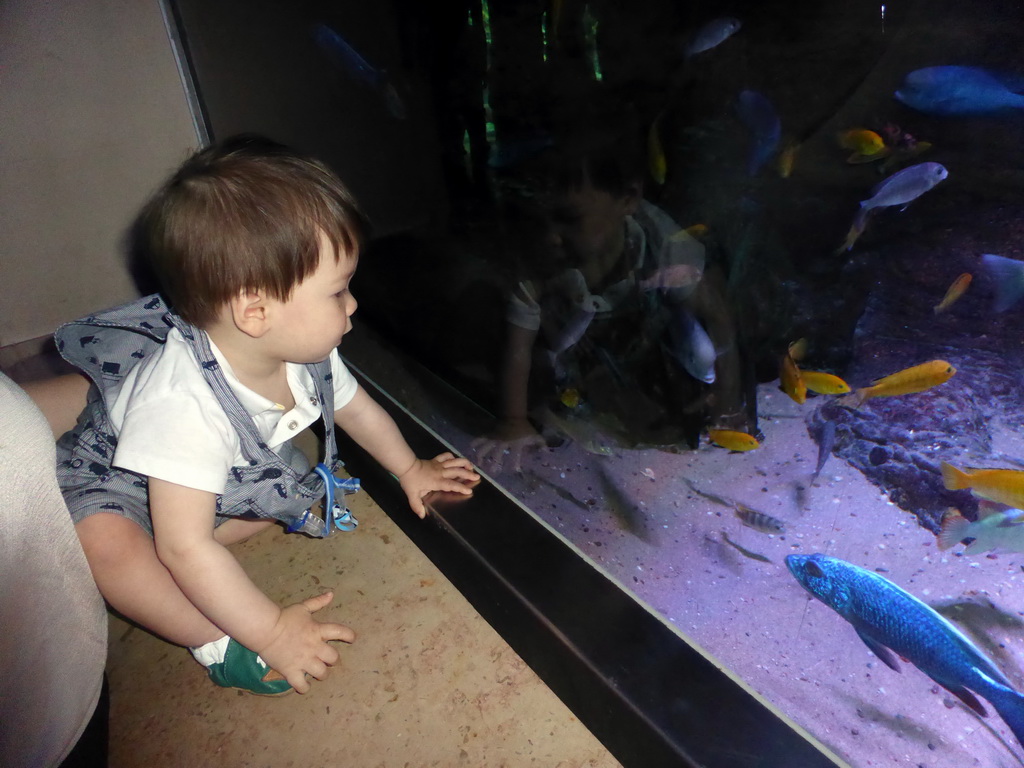 Max with fish at the Aquarium of the Antwerp Zoo