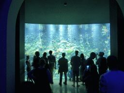 The Reef Aquarium at the Aquarium of the Antwerp Zoo