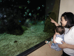 Miaomiao and Max with fish at the Aquarium of the Antwerp Zoo