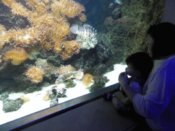 Miaomiao and Max with Lionfish, other fish and coral at the Aquarium of the Antwerp Zoo