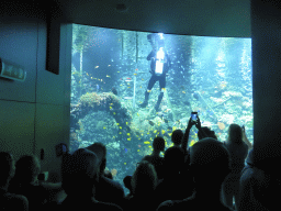 Diver, fish and coral at the Reef Aquarium at the Aquarium of the Antwerp Zoo