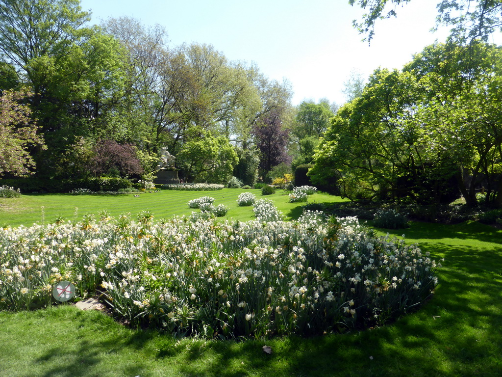 Garden with white flowers at the Antwerp Zoo