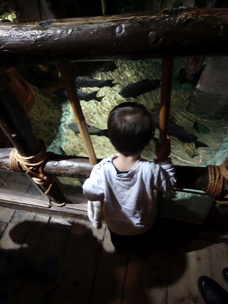 Max and fish at the Rainforest World at the Aquatopia aquarium