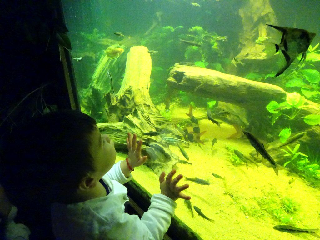 Max and fish at the Rainforest World at the Aquatopia aquarium