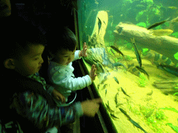 Max, his friend and fish at the Rainforest World at the Aquatopia aquarium