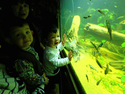 Miaomiao, Max, his friend and fish at the Rainforest World at the Aquatopia aquarium