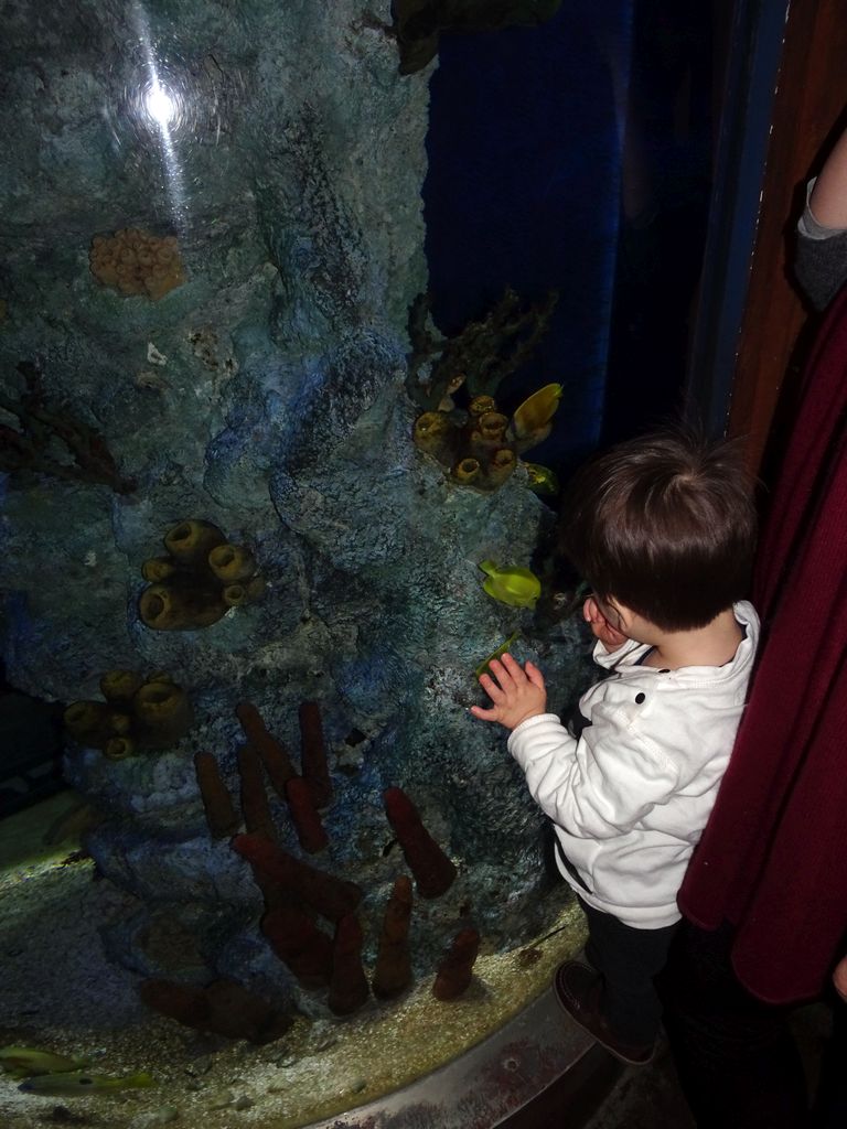 Max with coral and fish at the Submarine World at the Aquatopia aquarium