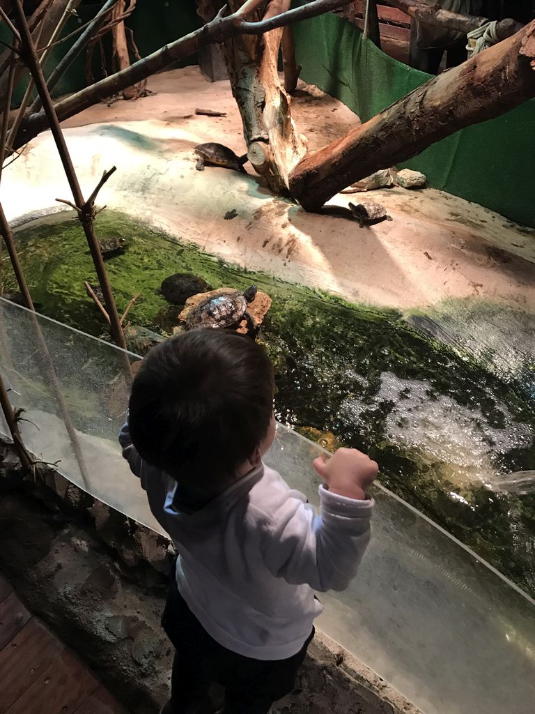 Max and turtles at the Swamp World at the Aquatopia aquarium