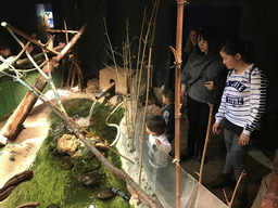Miaomiao, Max and friends with the Western Rat Snake at the Swamp World at the Aquatopia aquarium