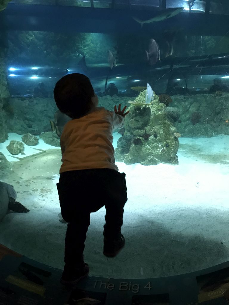 Max and fish at the Ocean World at the Aquatopia aquarium