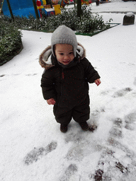 Max in the snow at the Flemish Garden at the Antwerp Zoo