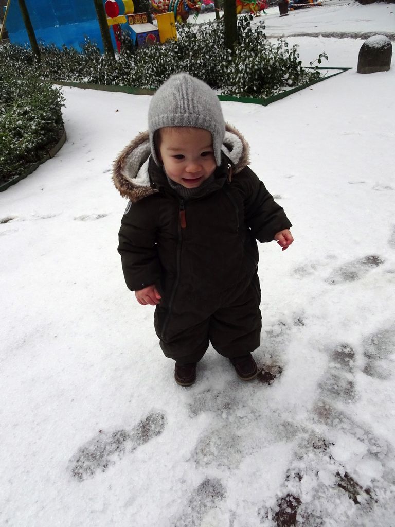 Max in the snow at the Flemish Garden at the Antwerp Zoo