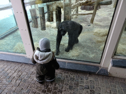 Max with a Chimpanzee at the Primate Building at the Antwerp Zoo