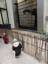 Max and an Asian Elephant in the Egyptian Temple at the Antwerp Zoo