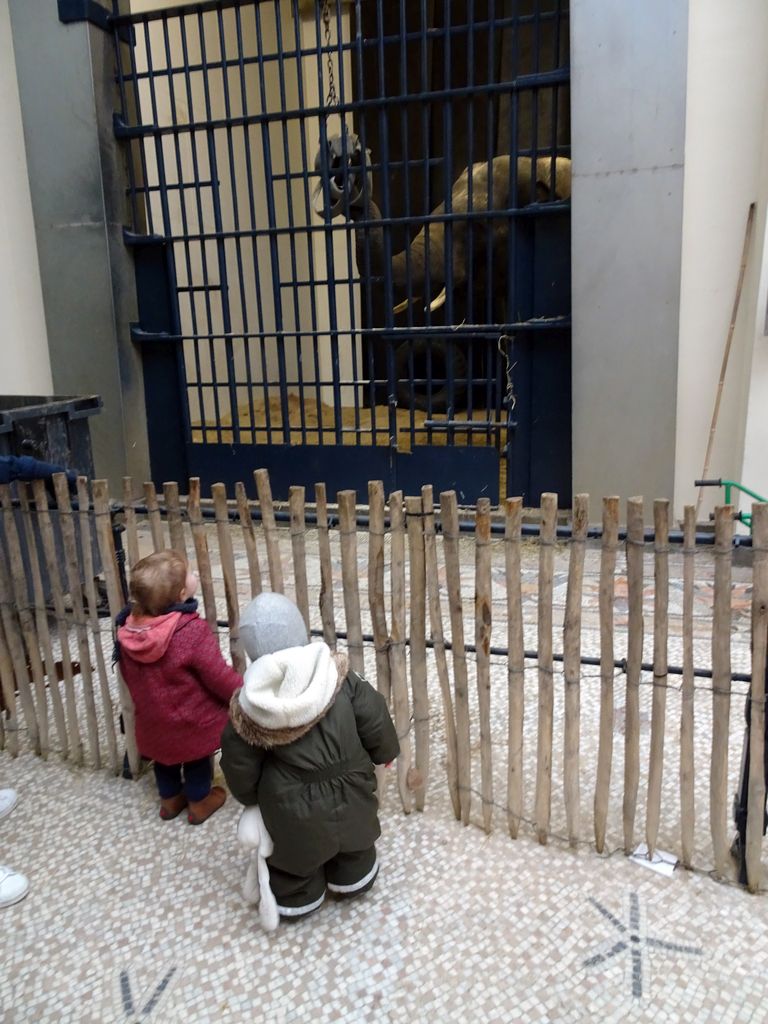 Max and an Asian Elephant in the Egyptian Temple at the Antwerp Zoo