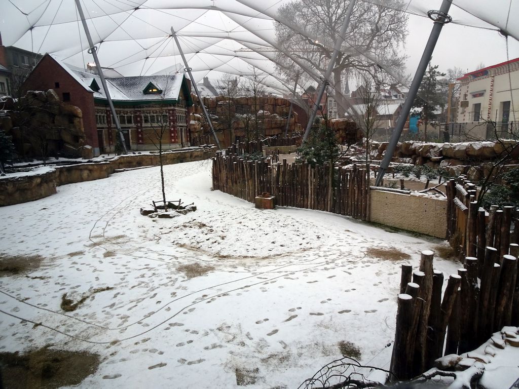 The Savannah at the Antwerp Zoo, viewed from the Savanne Restaurant