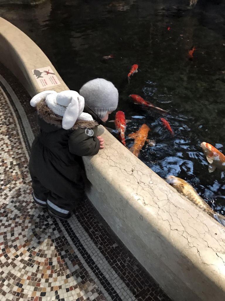 Max and goldfish at the Aquarium of the Antwerp Zoo