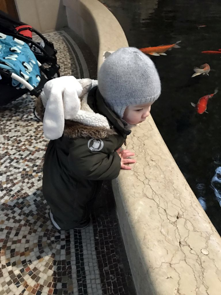 Max and goldfish at the Aquarium of the Antwerp Zoo