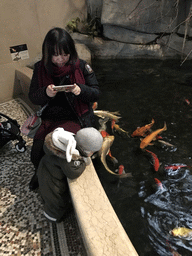 Miaomiao, Max and goldfish at the Aquarium of the Antwerp Zoo