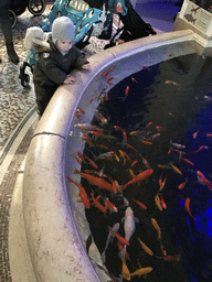 Max and goldfish at the Aquarium of the Antwerp Zoo
