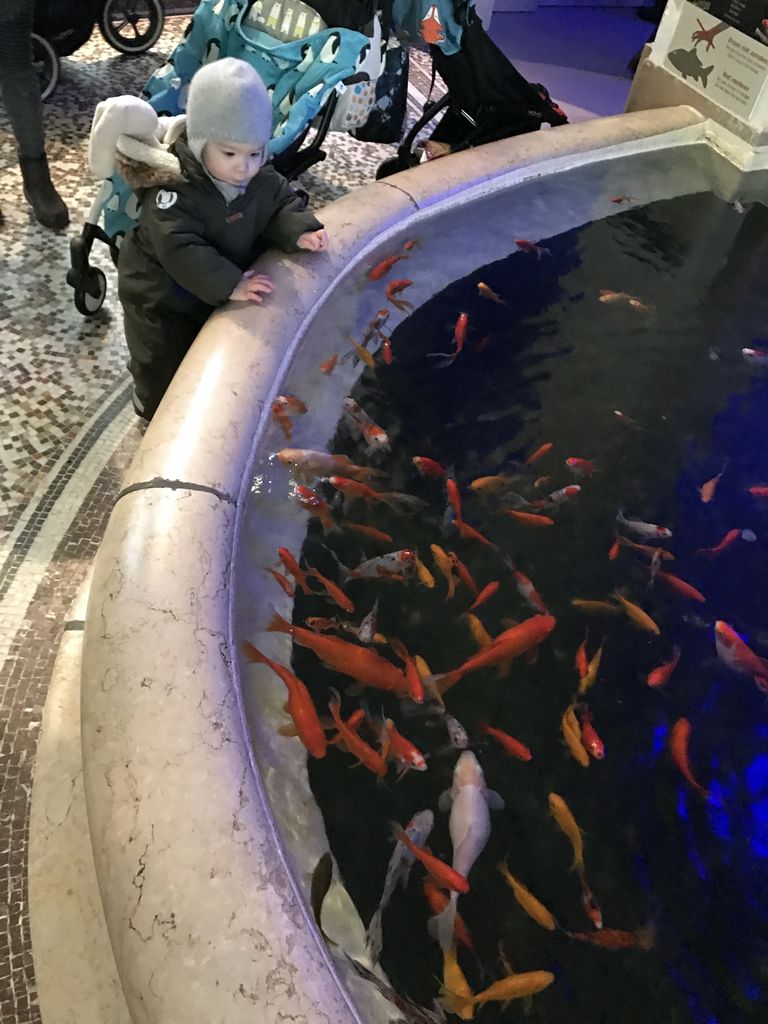 Max and goldfish at the Aquarium of the Antwerp Zoo