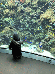 Max, fish, coral and a ship wreck at the Reef Aquarium at the Aquarium of the Antwerp Zoo