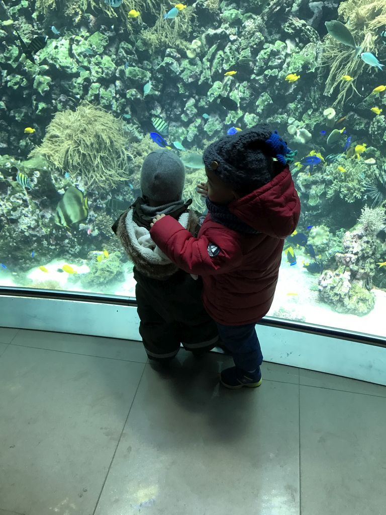 Max, his friend, fish and coral at the Reef Aquarium at the Aquarium of the Antwerp Zoo