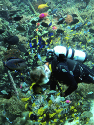 Diver, fish and coral at the Reef Aquarium at the Aquarium of the Antwerp Zoo