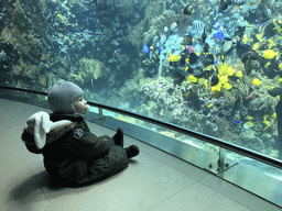 Max, fish and coral at the Reef Aquarium at the Aquarium of the Antwerp Zoo