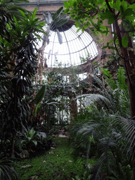 Interior of the Butterfly Garden at the Antwerp Zoo