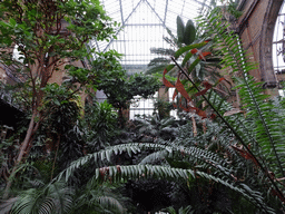 Interior of the Butterfly Garden at the Antwerp Zoo